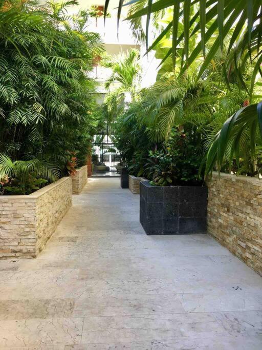 Your Exclusive Studio In The City - Top Amenities & Services For Free!! Playa del Carmen Exteriör bild
