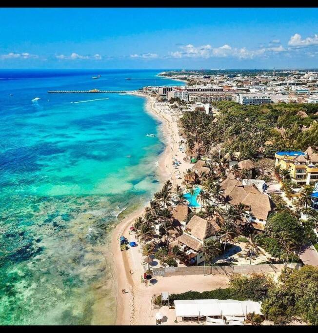 Your Exclusive Studio In The City - Top Amenities & Services For Free!! Playa del Carmen Exteriör bild