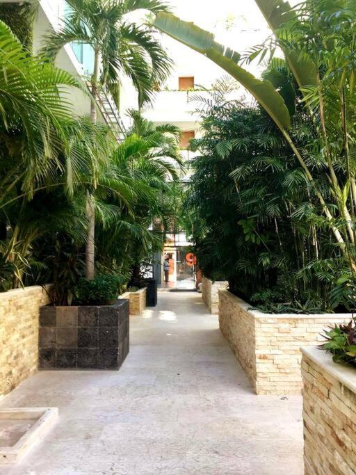 Your Exclusive Studio In The City - Top Amenities & Services For Free!! Playa del Carmen Exteriör bild
