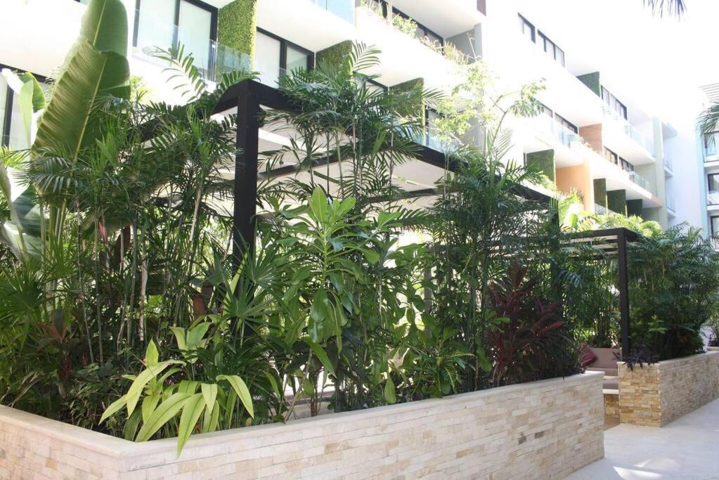 Your Exclusive Studio In The City - Top Amenities & Services For Free!! Playa del Carmen Exteriör bild